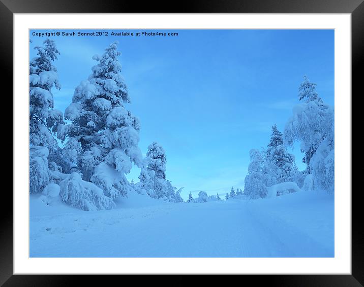 Lapland toboggan run Framed Mounted Print by Sarah Bonnot