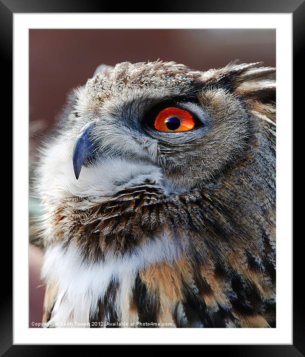 Eurasian Eagle Owl Canvases & Prints Framed Mounted Print by Keith Towers Canvases & Prints