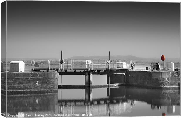 Lydney Harbour Canvas Print by David Tinsley