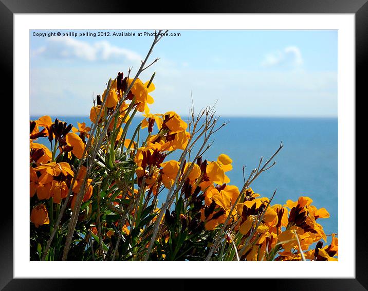 Flowers by the sea Framed Mounted Print by camera man
