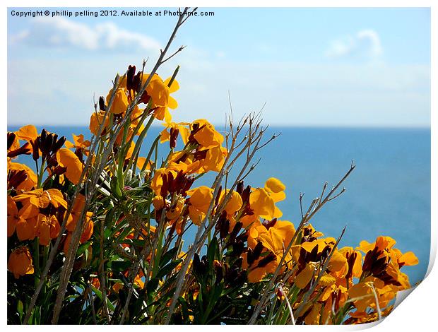 Flowers by the sea Print by camera man