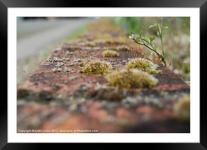 tiny brick road Framed Mounted Print by kirstin price