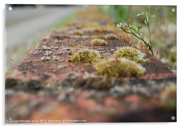 tiny brick road Acrylic by kirstin price
