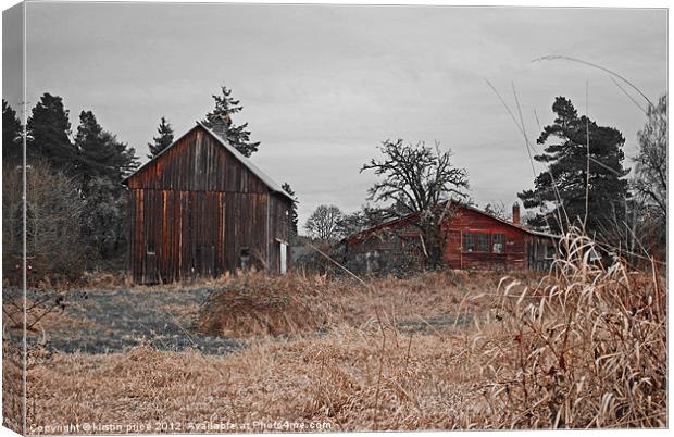 two red barns Canvas Print by kirstin price
