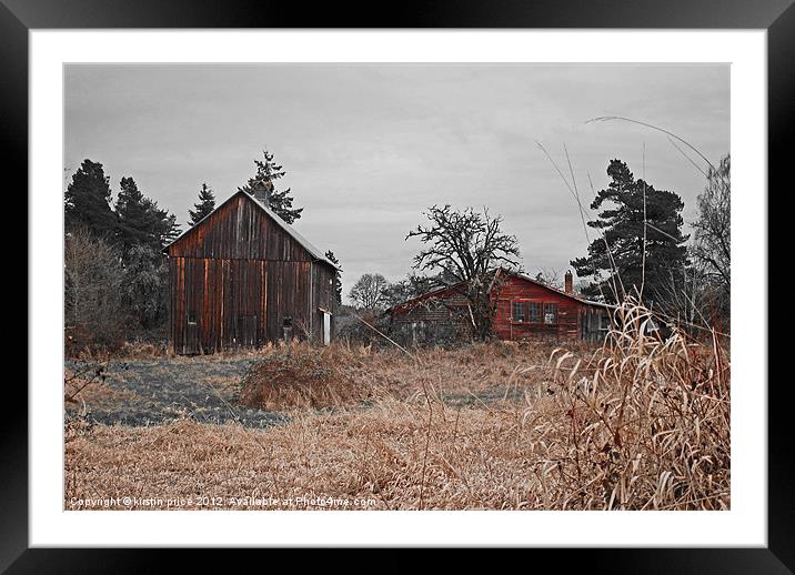 two red barns Framed Mounted Print by kirstin price