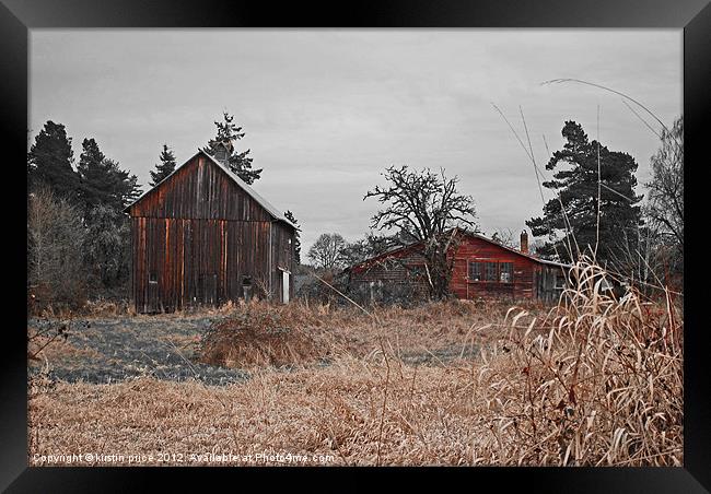 two red barns Framed Print by kirstin price