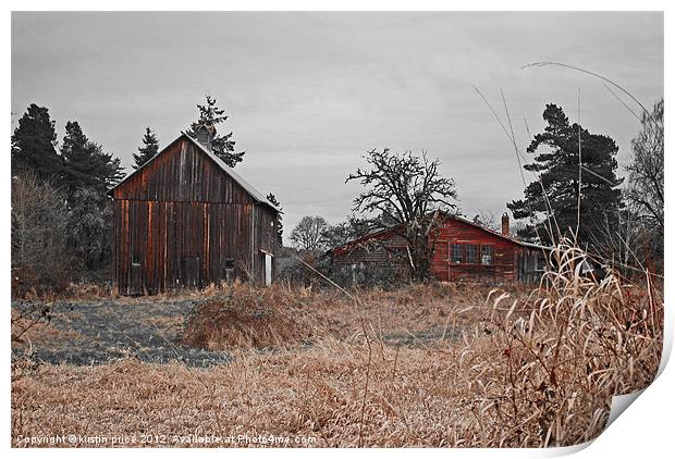 two red barns Print by kirstin price