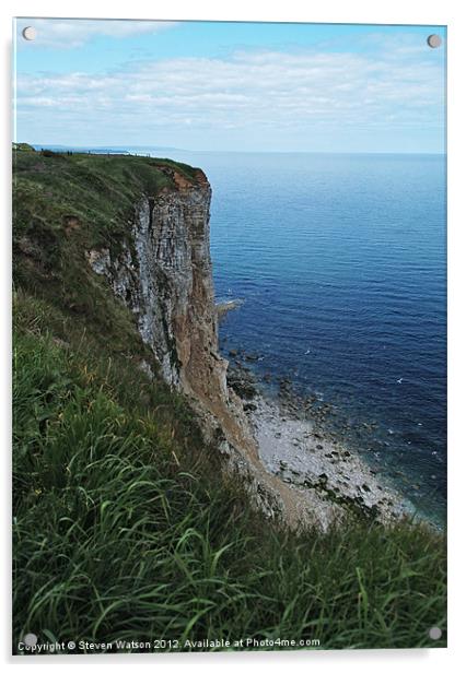 Bempton Cliffs Acrylic by Steven Watson