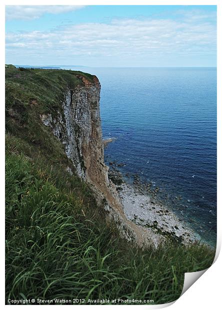 Bempton Cliffs Print by Steven Watson
