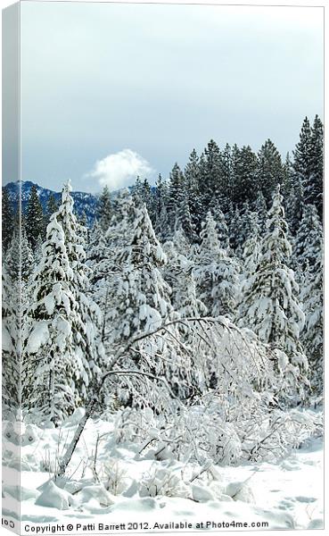 Trees in Winter Tahoe Canvas Print by Patti Barrett