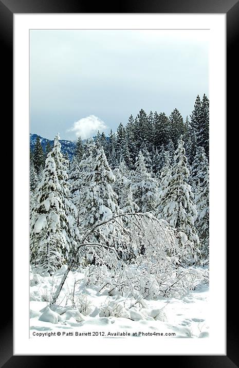 Trees in Winter Tahoe Framed Mounted Print by Patti Barrett