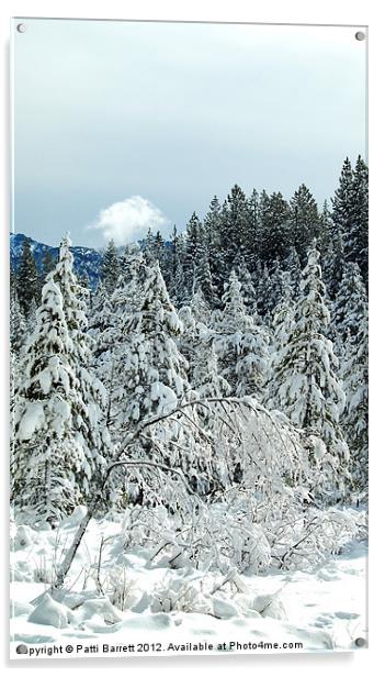 Trees in Winter Tahoe Acrylic by Patti Barrett