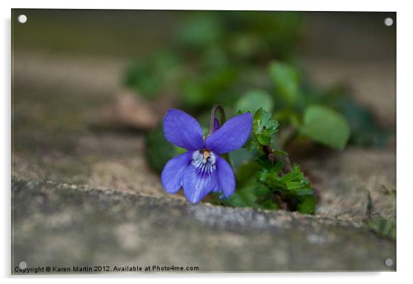 Wild Violet Acrylic by Karen Martin