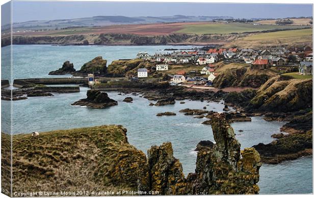 Looking Over St Abbs Canvas Print by Lynne Morris (Lswpp)
