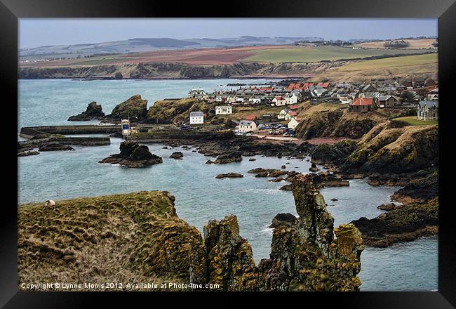 Looking Over St Abbs Framed Print by Lynne Morris (Lswpp)