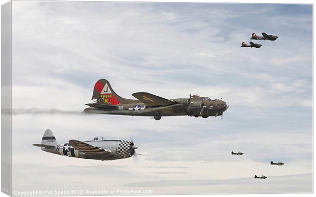 B17- A Helping Hand Canvas Print by Pat Speirs