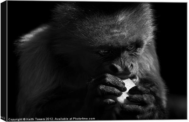 Capuchin Monkey Canvases & Prints Canvas Print by Keith Towers Canvases & Prints