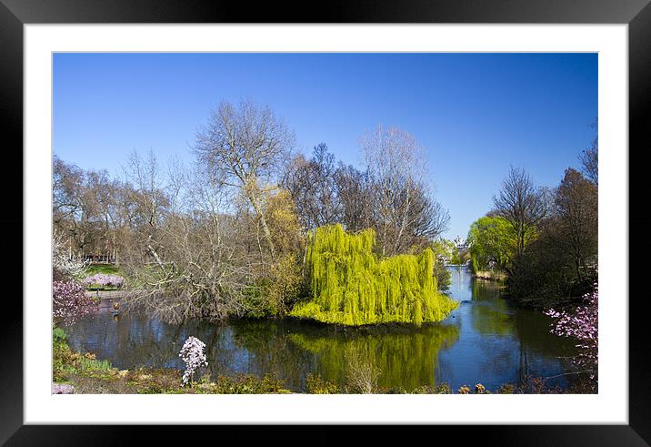 St James Park London Framed Mounted Print by David French