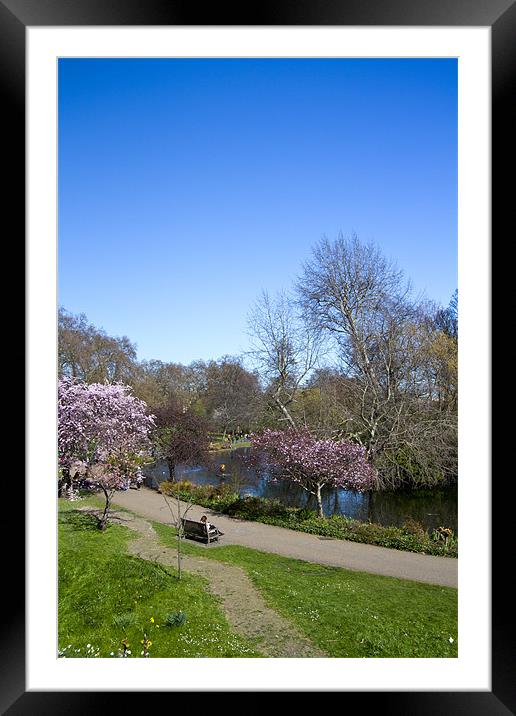 St James Park London Framed Mounted Print by David French
