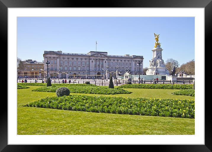 Buckingham Palace Framed Mounted Print by David French