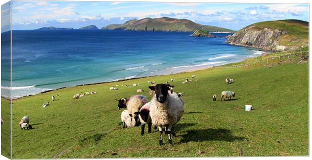 View of Blaske Islands Canvas Print by barbara walsh