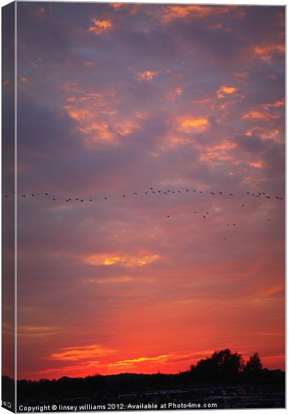 A Warwickshire sunset Canvas Print by Linsey Williams