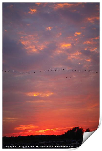 A Warwickshire sunset Print by Linsey Williams