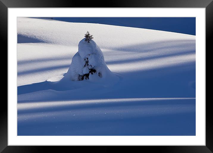 Snowy tree Framed Mounted Print by Thomas Schaeffer