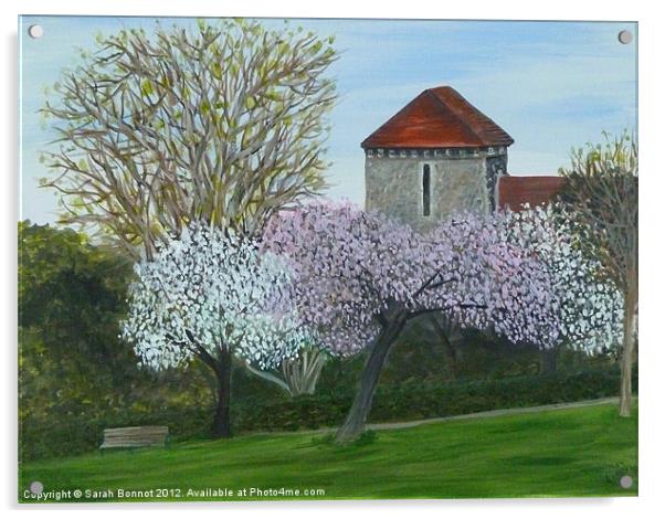 Preston Park Church Acrylic by Sarah Bonnot