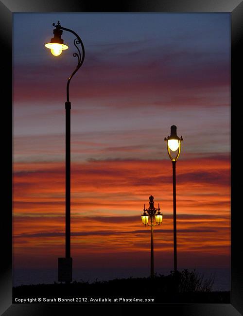 Winter sunset streetlights Framed Print by Sarah Bonnot