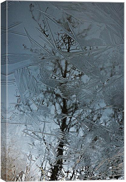 Reflections Of Winter Canvas Print by Paul Causie