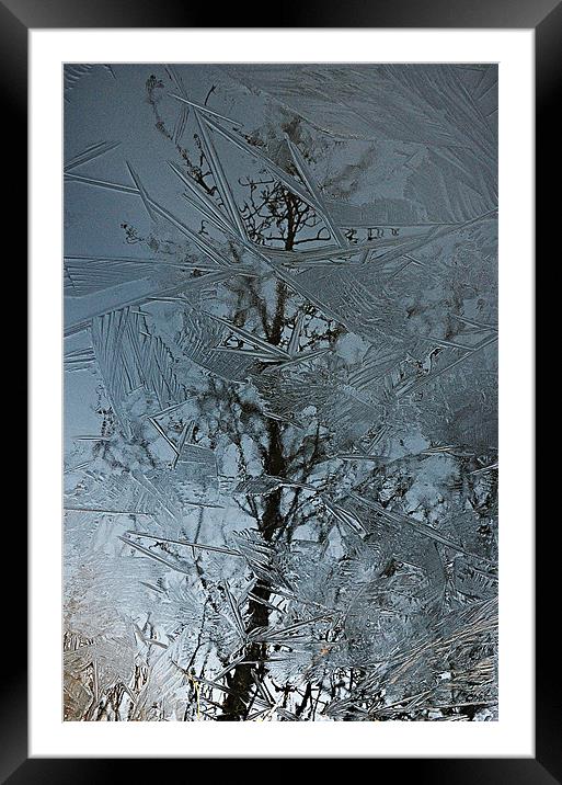 Reflections Of Winter Framed Mounted Print by Paul Causie