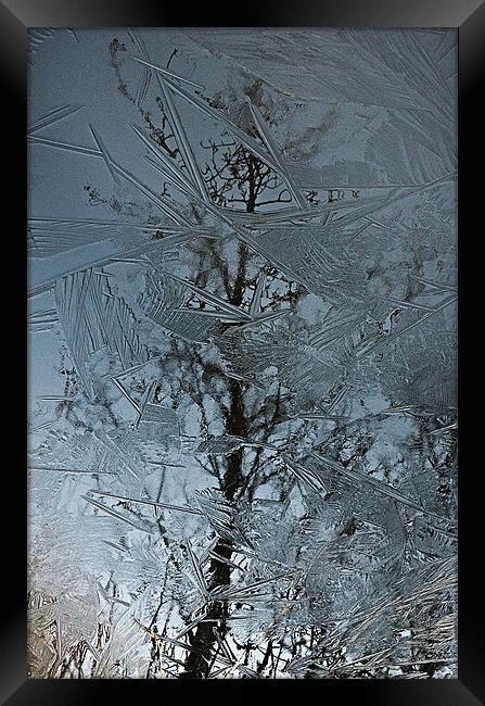 Reflections Of Winter Framed Print by Paul Causie