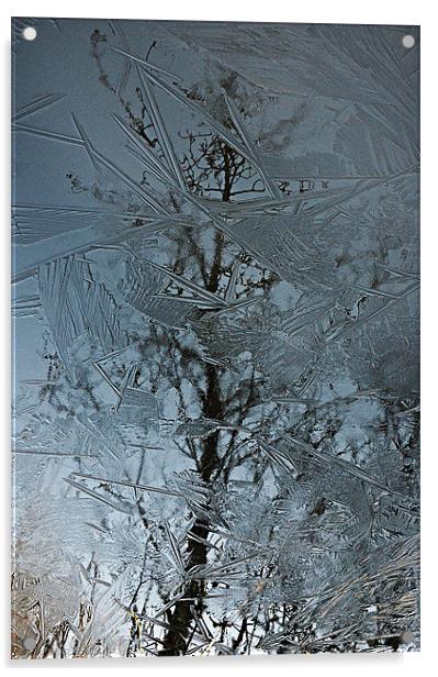 Reflections Of Winter Acrylic by Paul Causie