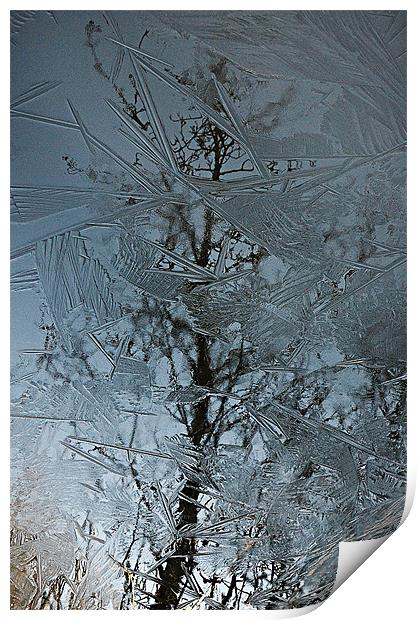 Reflections Of Winter Print by Paul Causie