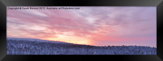 Saariselka Lapland Sunrise Framed Print by Sarah Bonnot