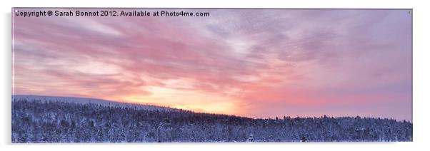 Saariselka Lapland Sunrise Acrylic by Sarah Bonnot
