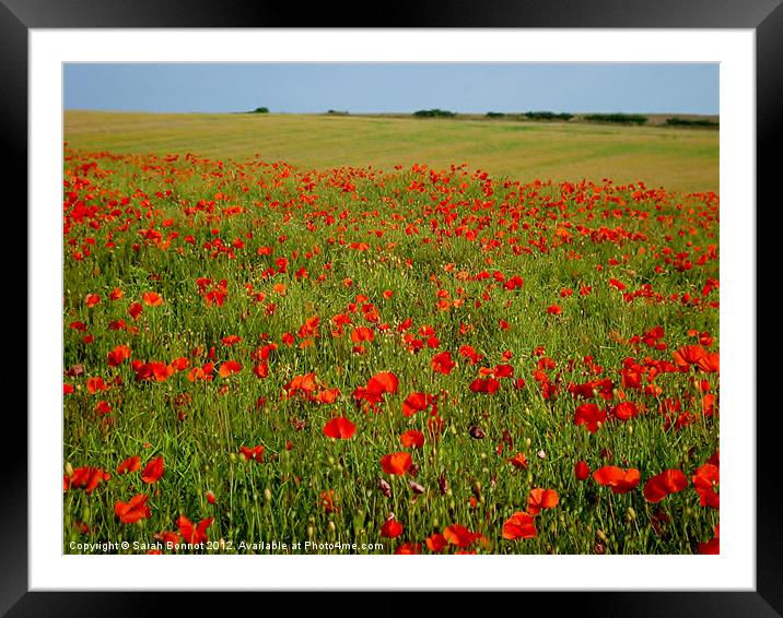 Sussex Poppy Field Framed Mounted Print by Sarah Bonnot