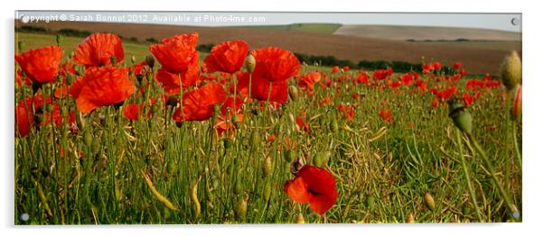 South Downs Poppies Acrylic by Sarah Bonnot