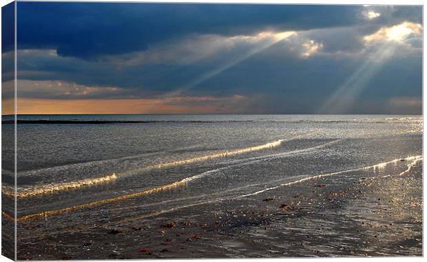 The Sunlit Shore Canvas Print by graham young