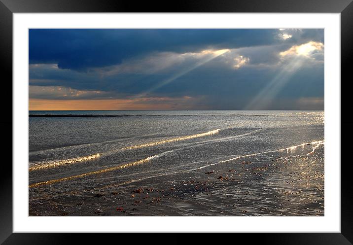 The Sunlit Shore Framed Mounted Print by graham young