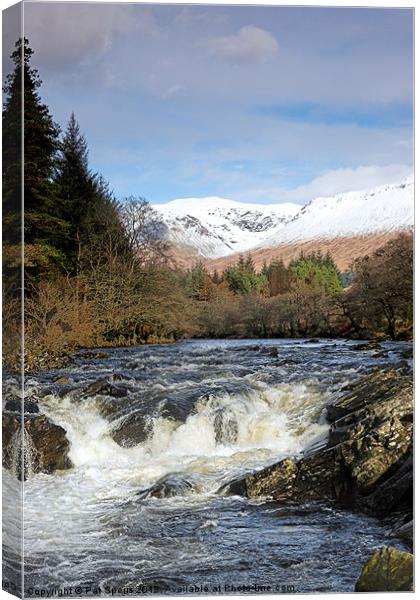 Glen Orchy - Spring Canvas Print by Pat Speirs