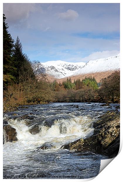 Glen Orchy - Spring Print by Pat Speirs