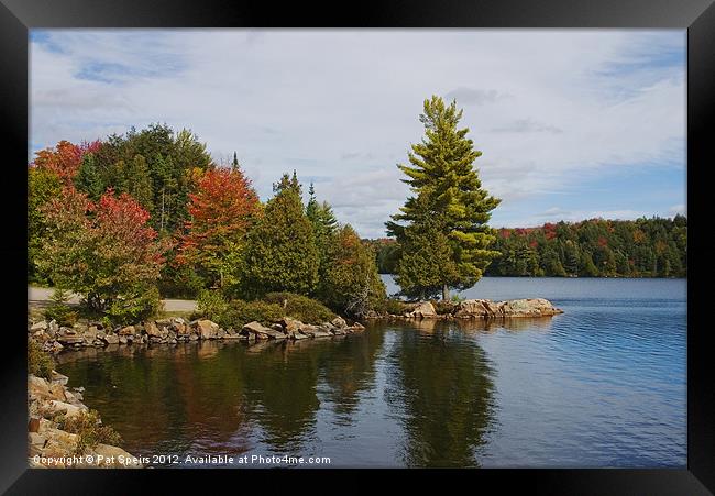 Algonquin Park, Ontario Framed Print by Pat Speirs