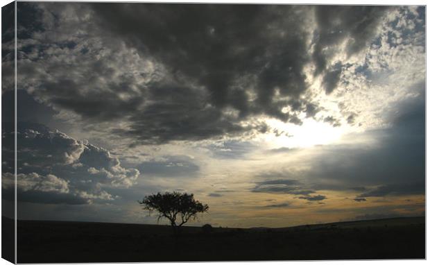 Dramatic skys over Kenya Canvas Print by Bekie Spark