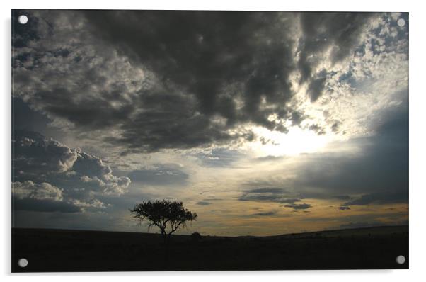 Dramatic skys over Kenya Acrylic by Bekie Spark