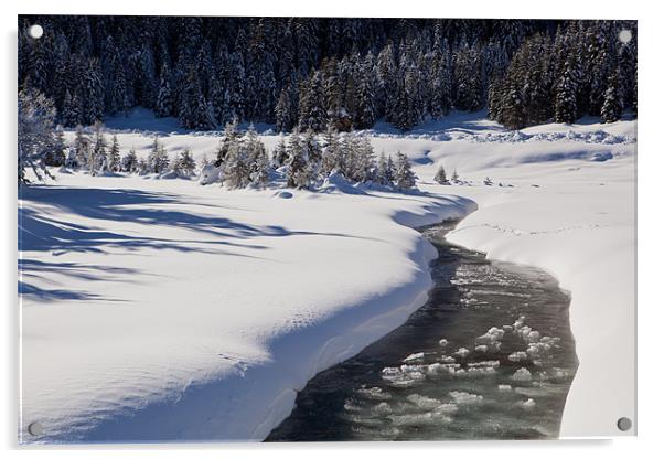 Winterly creek in Austria Acrylic by Thomas Schaeffer