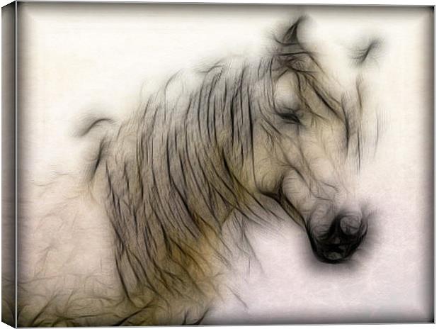Horse Canvas Print by Debra Kelday