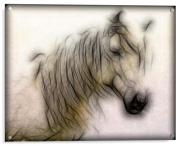 Horse Acrylic by Debra Kelday