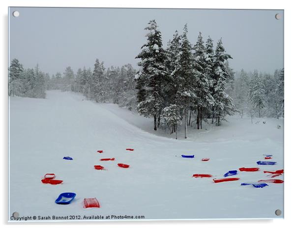 Toboggan run Acrylic by Sarah Bonnot